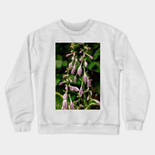 Hosta Flowers In The Garden Crewneck Sweatshirt